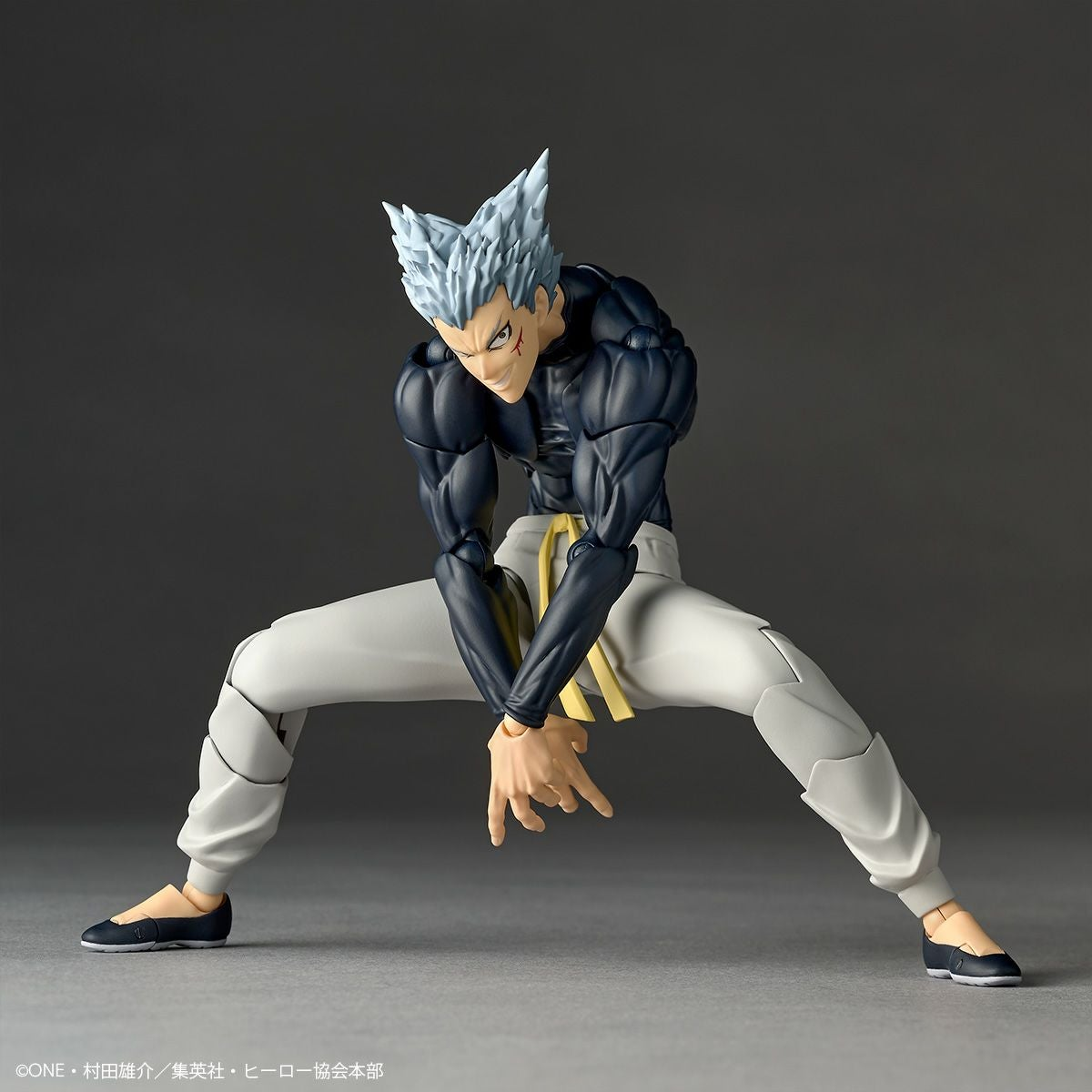 Amazing Yamaguchi / Revoltech: One Punch-Garou (no bonus)