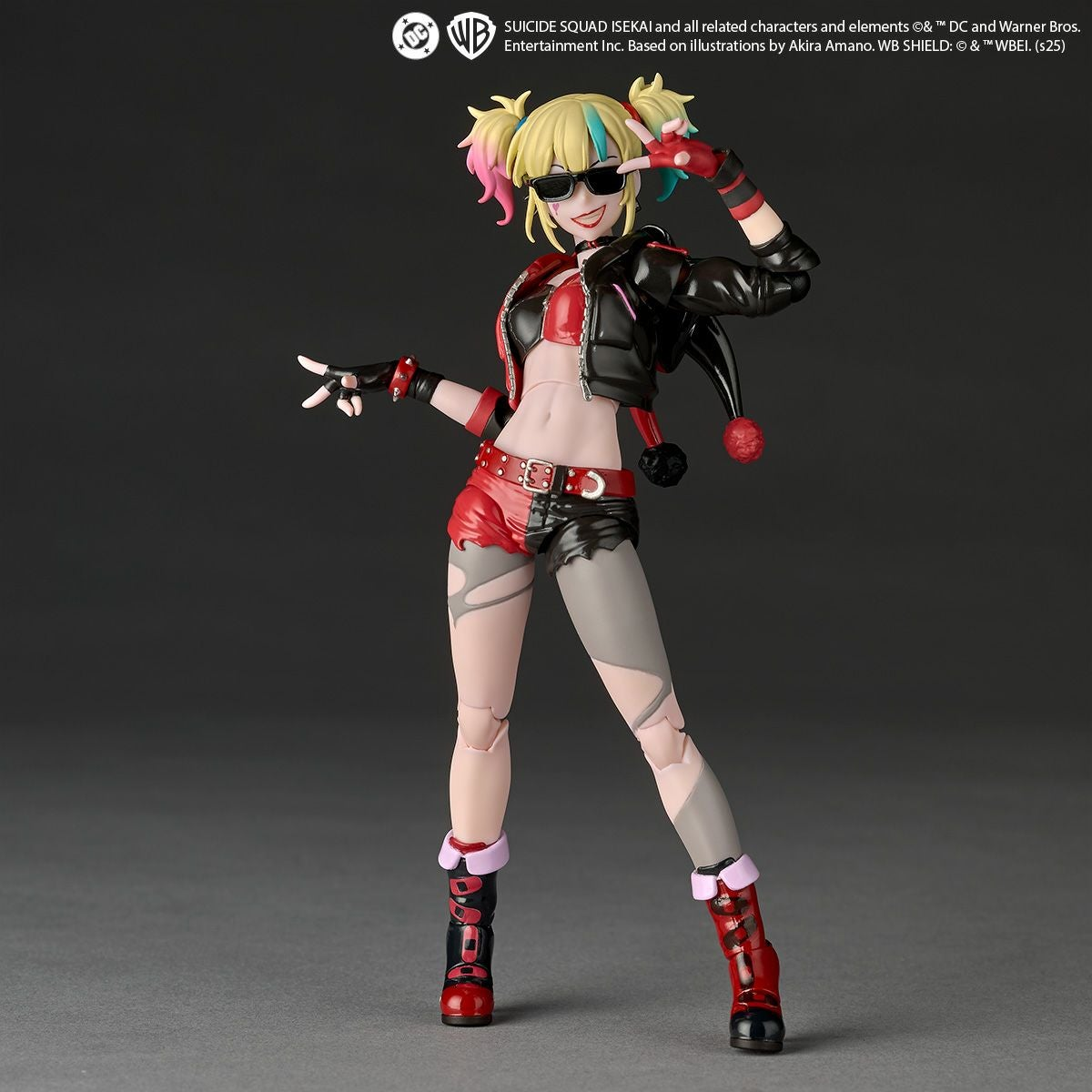 Amazing Yamaguchi / Revoltech: (Otherworld Suicide Squad Ver.) - Harley Quinn (no Bonus)