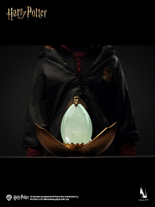 INART - Harry Potter and the Goblet of Fire - Harry Potter 1/6 Collectible Figure (Pre-Order)