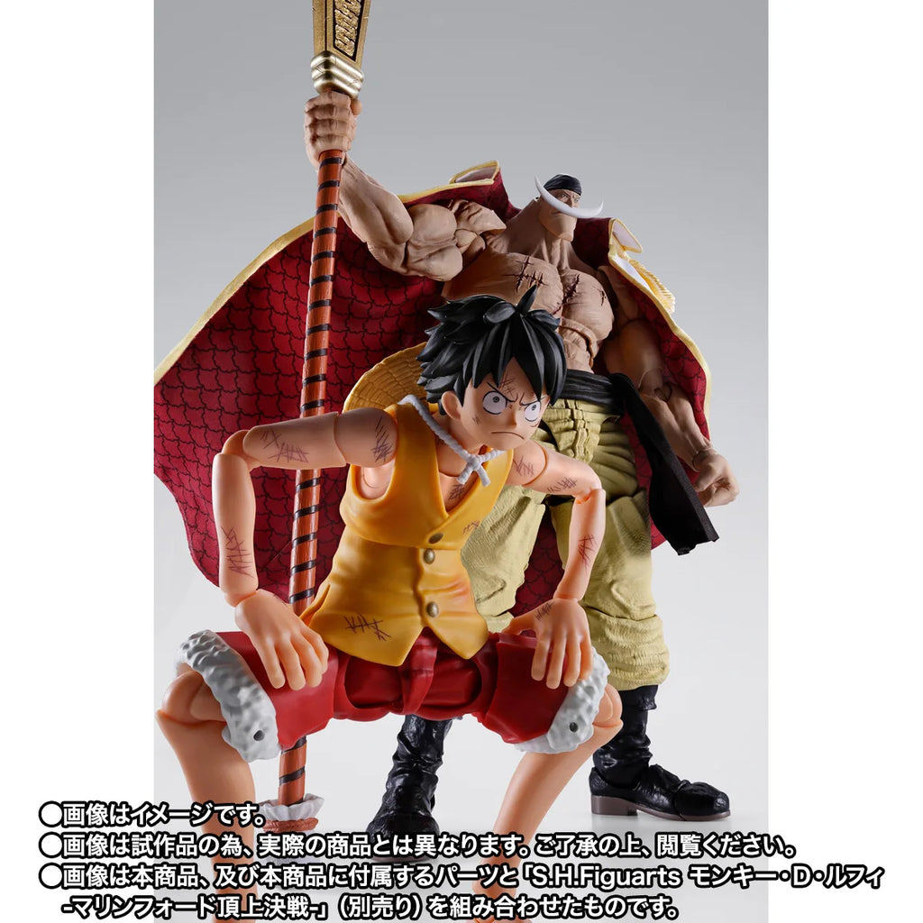 S.H.Figuarts -One Piece-EDWARD.NEWGATE -MARINEFORD-(Pre-Order)