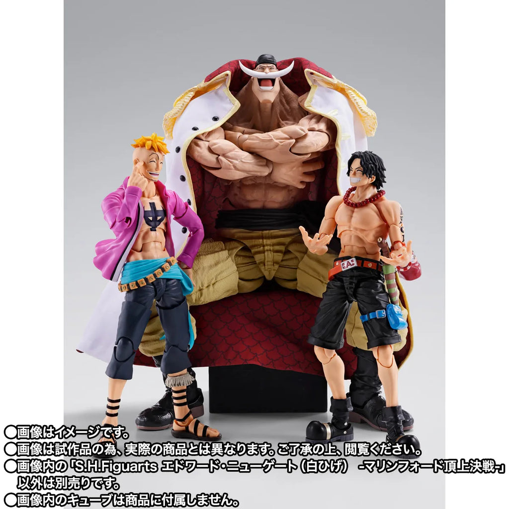 S.H.Figuarts -One Piece-EDWARD.NEWGATE -MARINEFORD-(Pre-Order)