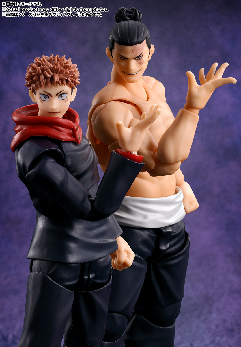 S.H.Figuarts AOI TODO (Reissue) (Pre-Order)