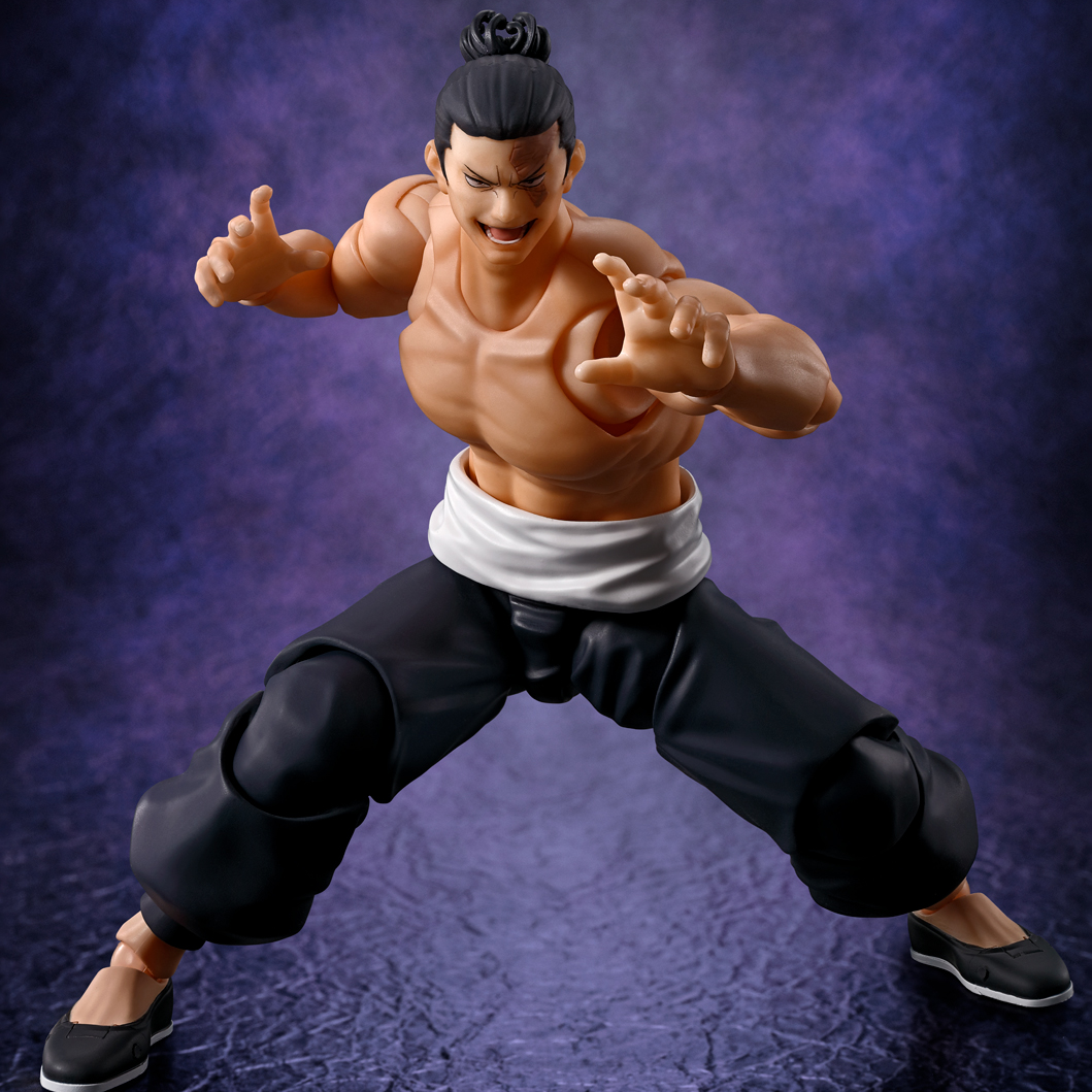 S.H.Figuarts AOI TODO (Reissue) (Pre-Order)