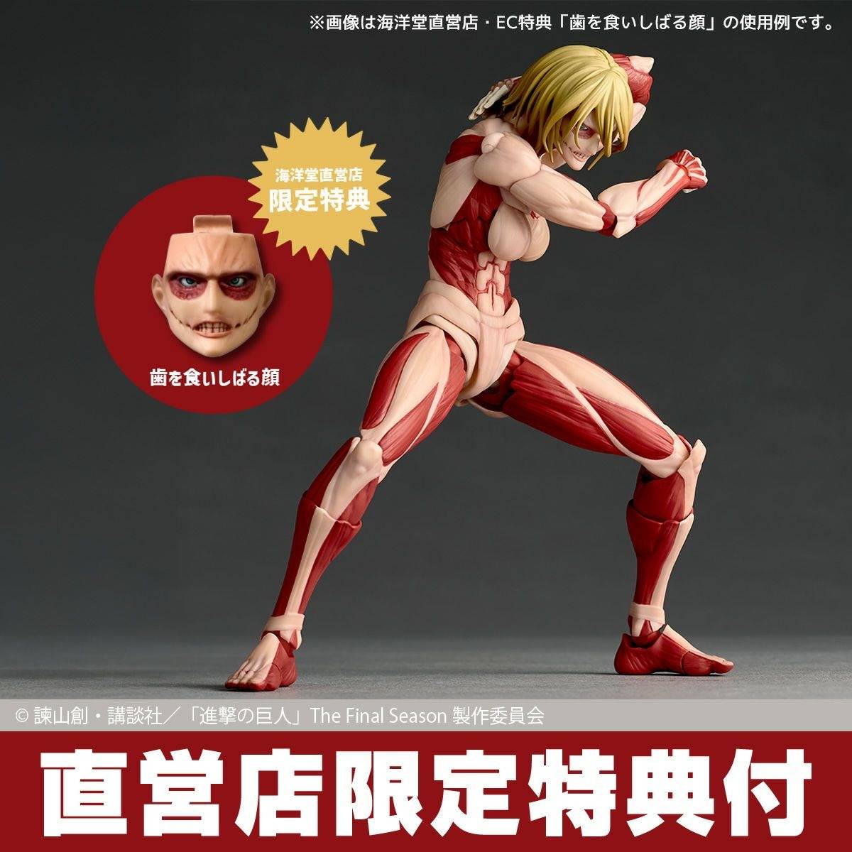 Amazing Yamaguchi / Revoltech: Attack on Titan - Female Titan ( With Bonus)