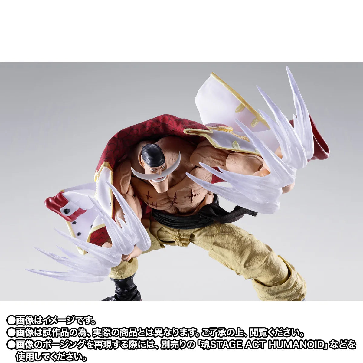 S.H.Figuarts -One Piece-EDWARD.NEWGATE -MARINEFORD-(Pre-Order)